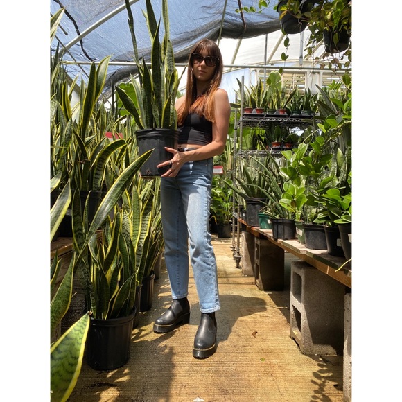 ✨welcome!✨ - Picture 8 of 8